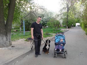 Четырехмесячный берн – собака-игрушка, Киев