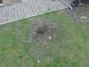 Немецкая овчарка роет ямы во дворе